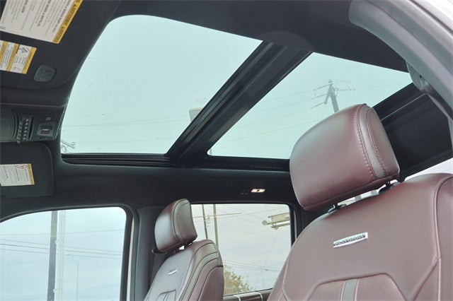 2017 Ford Super Duty F-250 Platinum