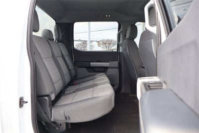 2025 Ford Super Duty F-250 STX